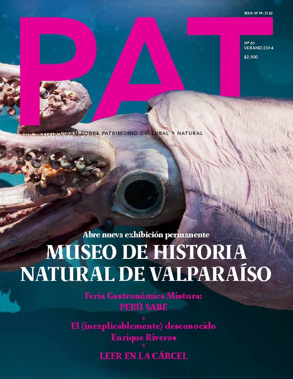 Revista PAT N°61