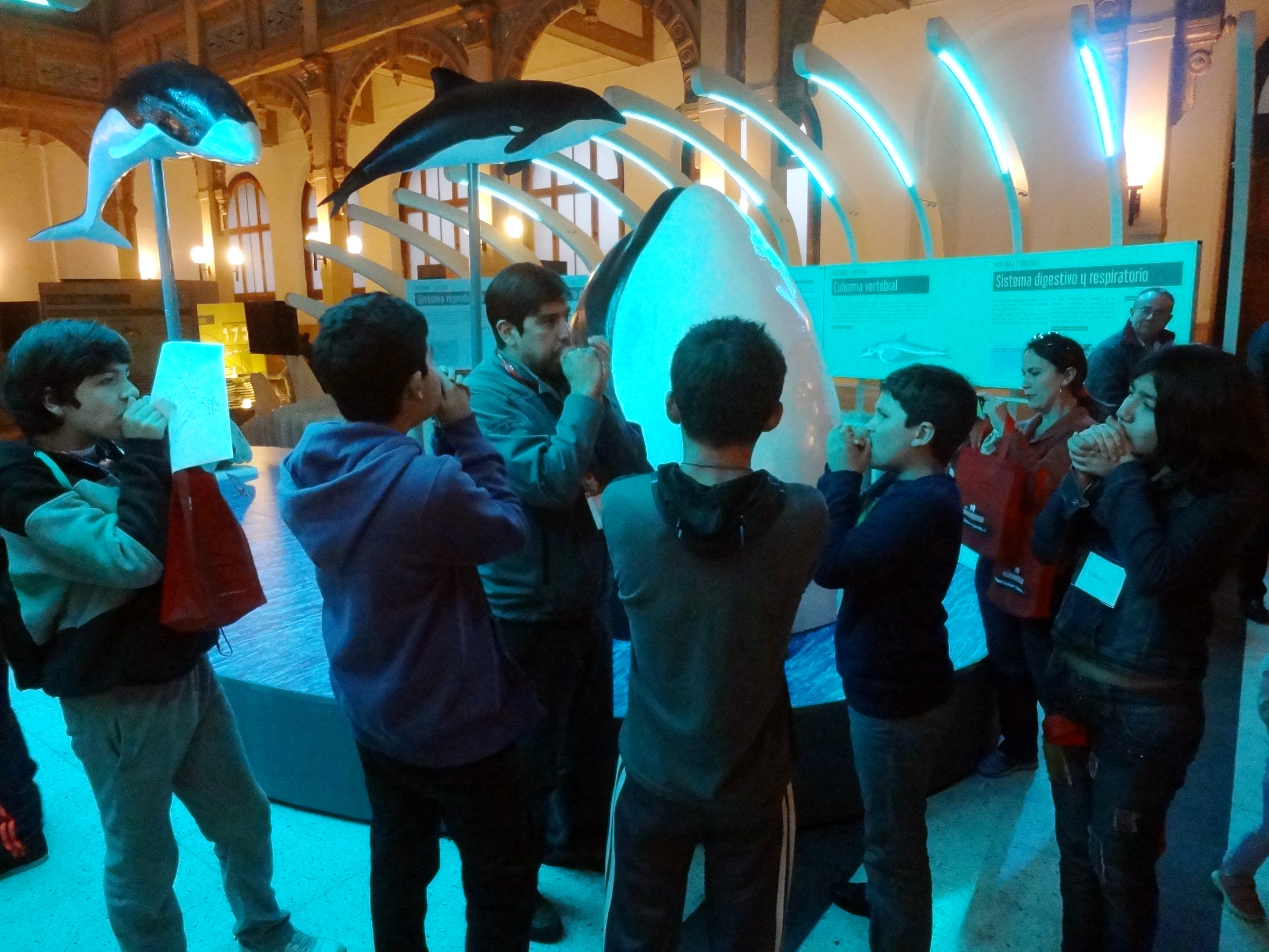 Visita del 6 mayo. Niños y niñas de Aspenmov (Asociación Asperger en Movimiento) Visita del 6 mayo. Niños y niñas de Aspenmov (Asociación Asperger en Movimiento)