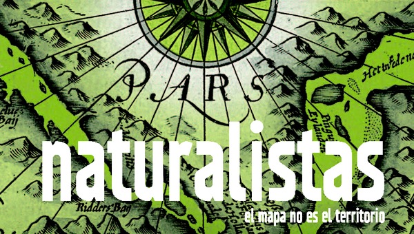 Revista Patrimonio Cultural N°33