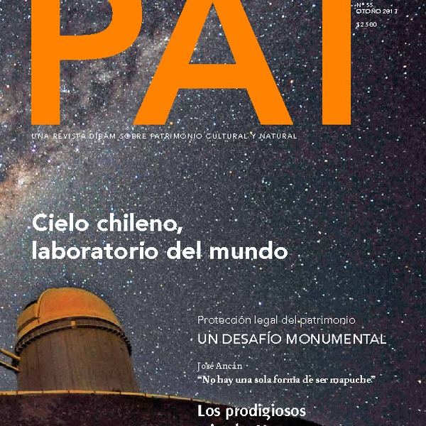 Revista PAT N°55