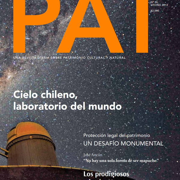 Revista PAT N°55