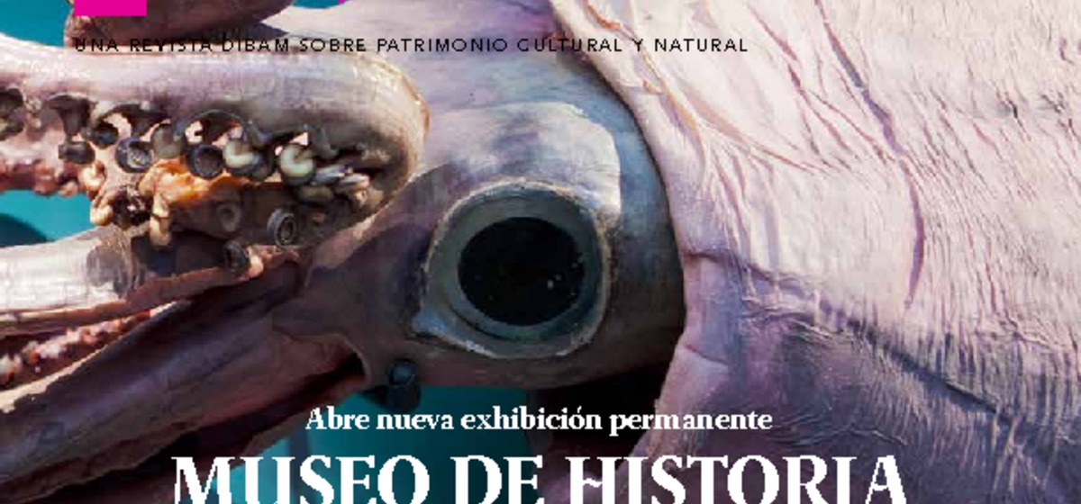 Revista PAT N°61