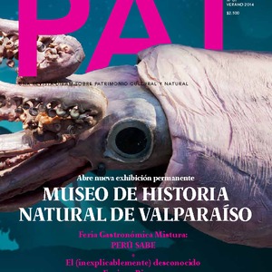 Revista PAT N°61