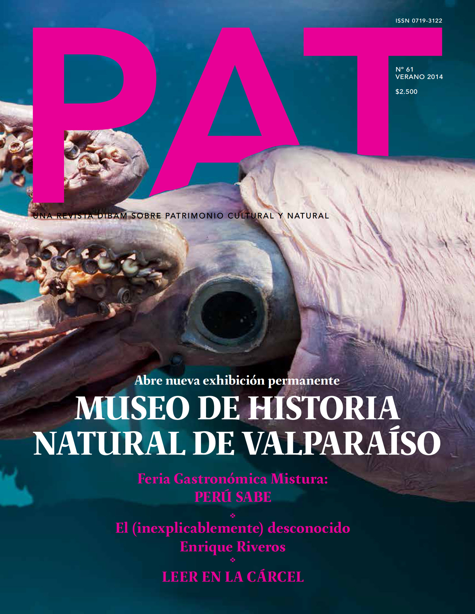 Revista PAT N°61 Revista PAT N°61