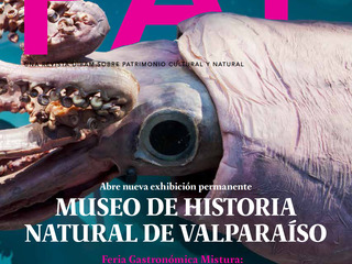 Revista PAT N°61