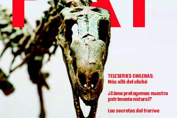 Revista PAT N°63