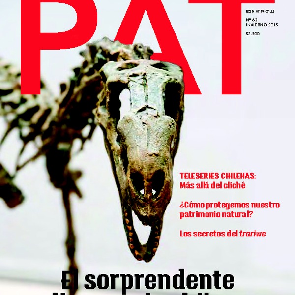 Revista PAT N°63