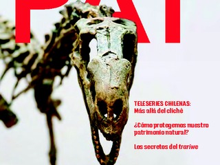 Revista PAT N°63