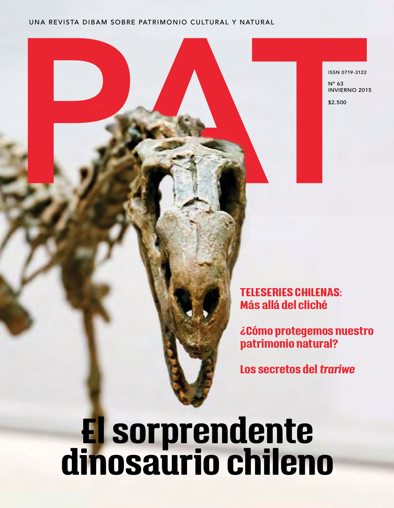 Revista PAT N°63 Revista PAT N°63