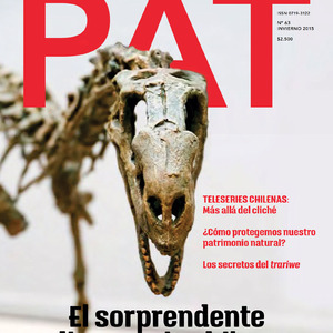 Revista PAT N°63