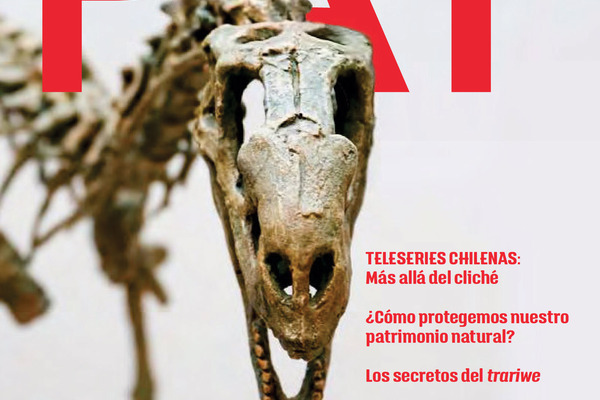 Revista PAT N°63