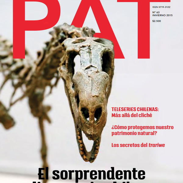 Revista PAT N°63