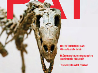 Revista PAT N°63