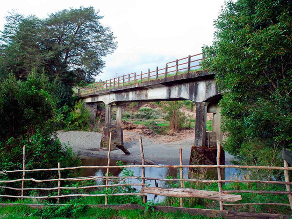 Puente rodeado de naturaleza