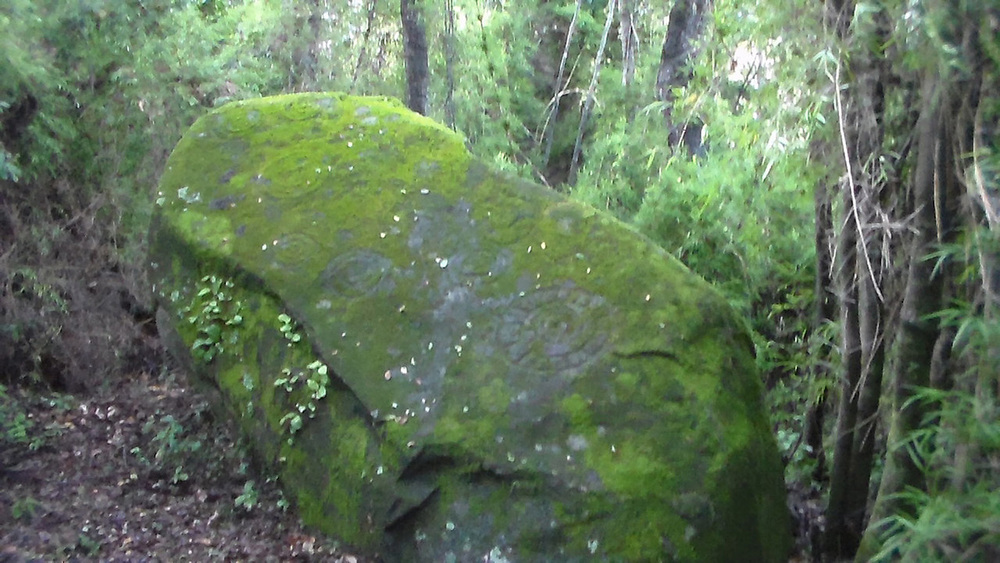 Petroglifos circulares encontrados en Parral.