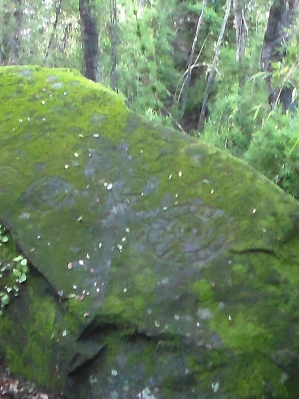 Petroglifos circulares encontrados en Parral.
