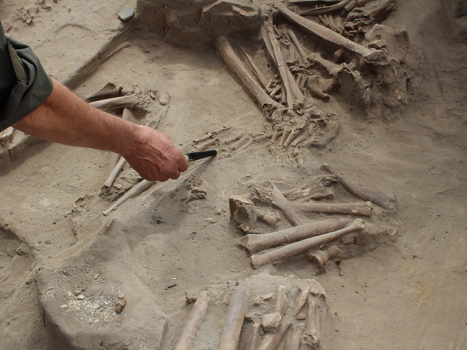 Restos arqueológicos en Cementerio El Olivar.