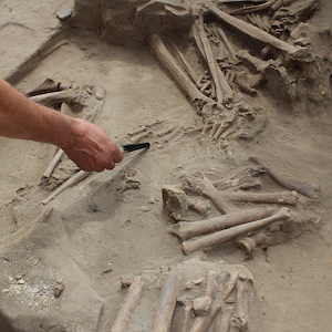 Restos arqueológicos en Cementerio El Olivar.