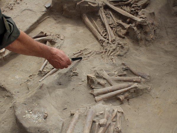 Restos arqueológicos en Cementerio El Olivar.