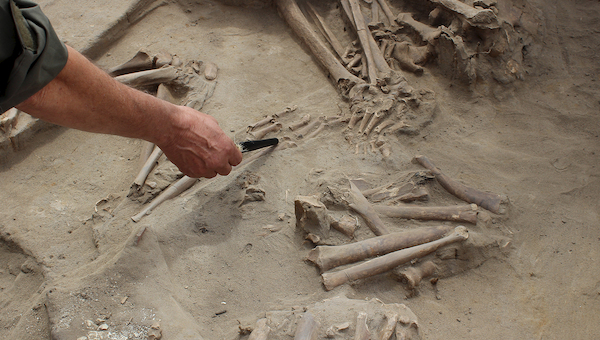 Restos arqueológicos en Cementerio El Olivar.