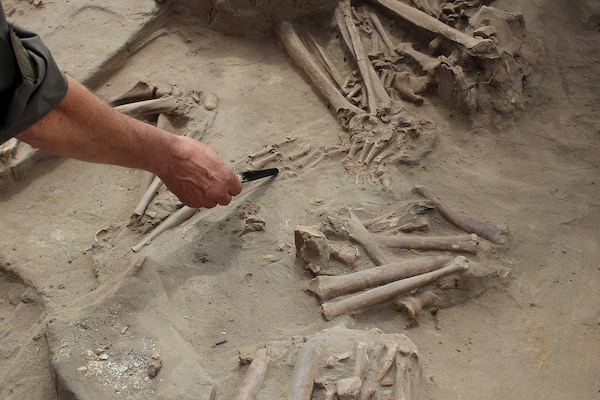 Restos arqueológicos en Cementerio El Olivar.