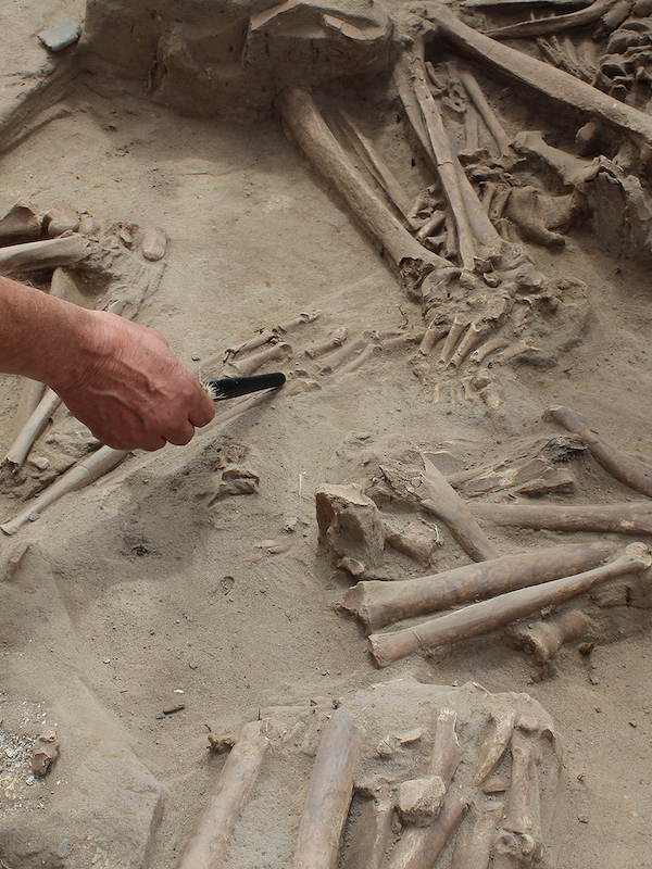 Restos arqueológicos en Cementerio El Olivar.