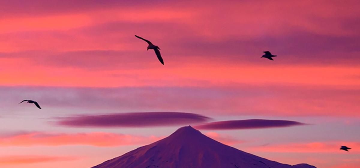 Arco gaviotas, foto Juan Carlos Gedda.