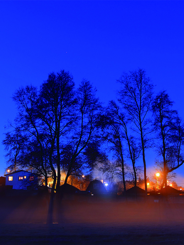 Luces en la neblina, foto Andrés Carmona.