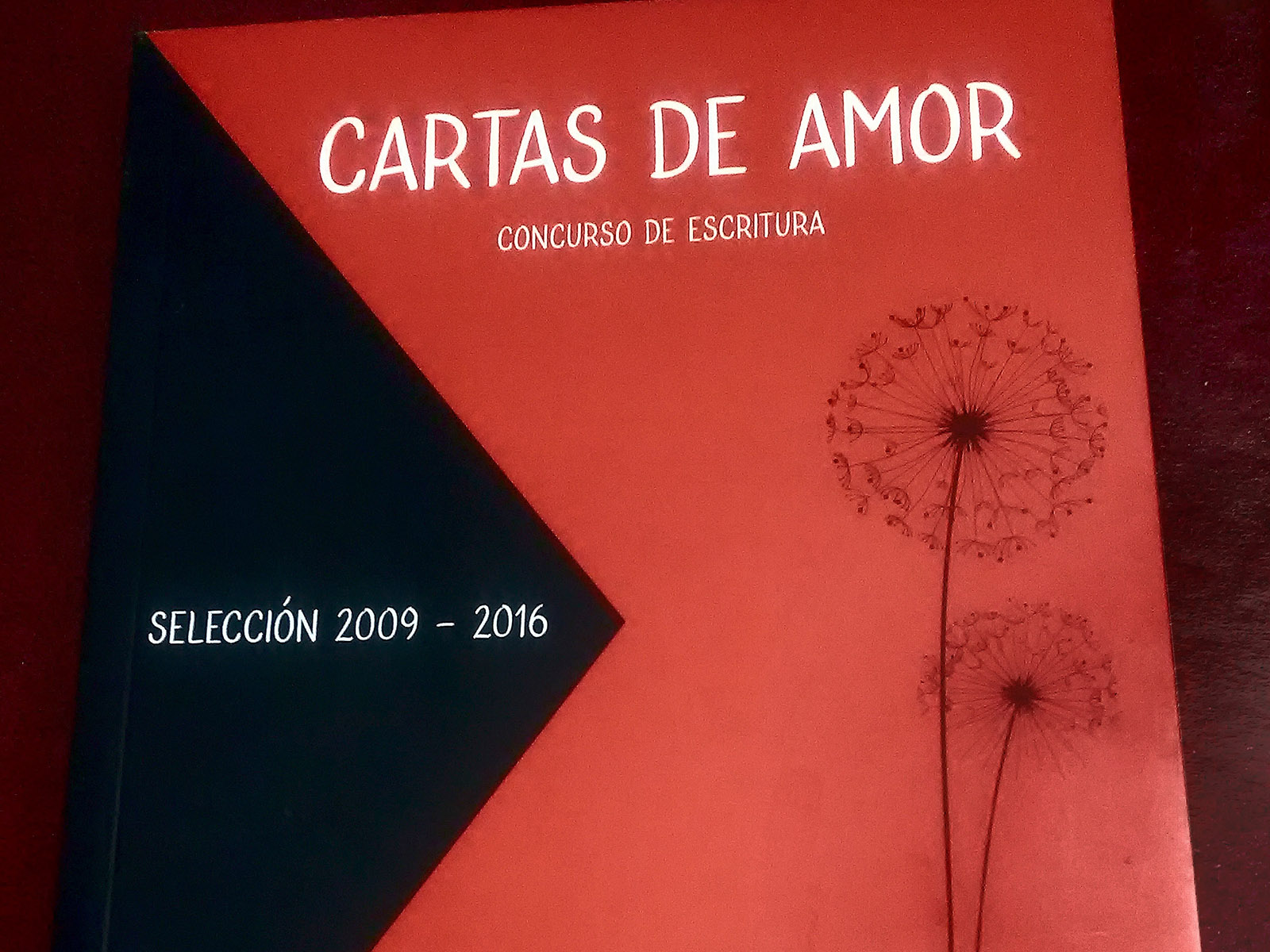 Libro Cartas de Amor