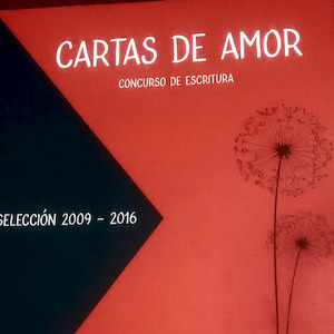 Libro Cartas de Amor